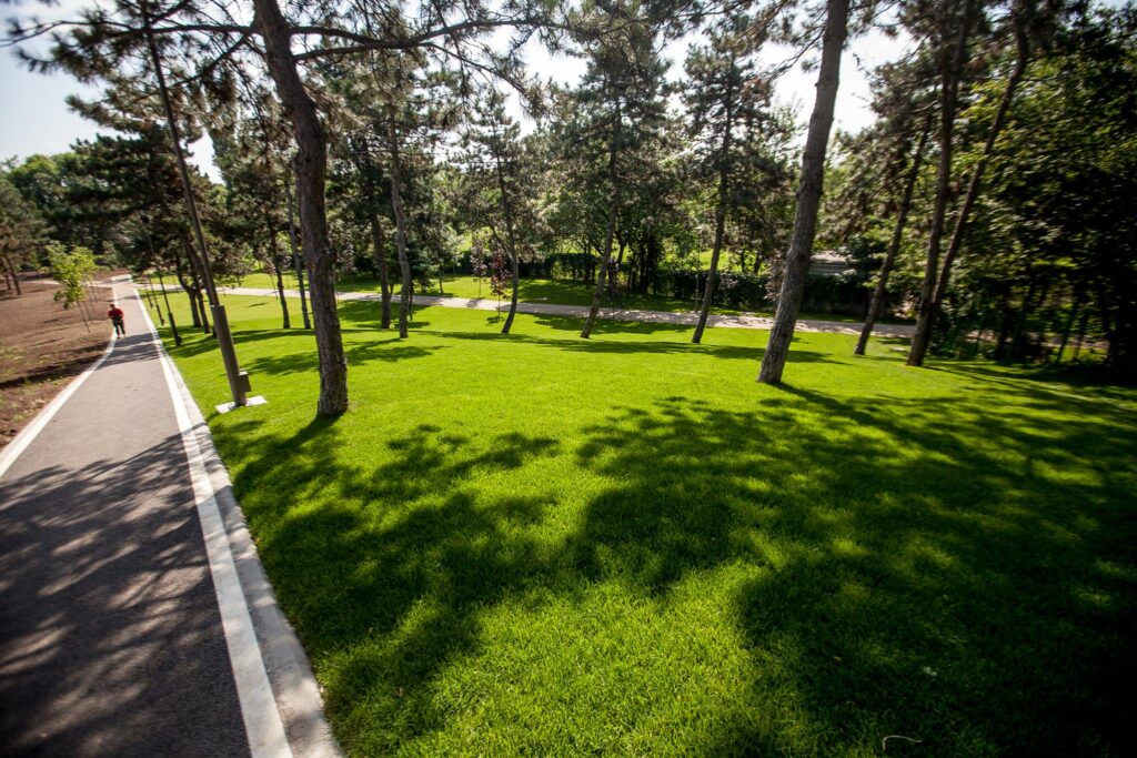 parc drumul taberei