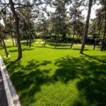 parc drumul taberei