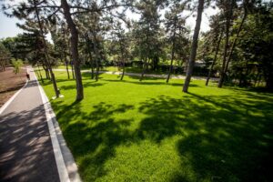 parc drumul taberei
