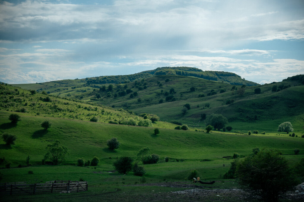 DGROU ciobanita 148