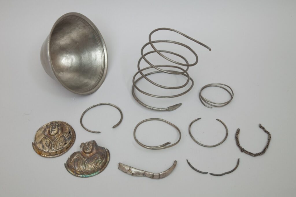 Comorile Colentinei 1 22