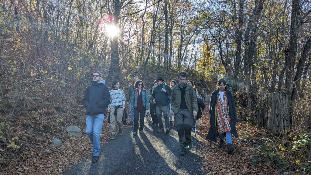 PXL 20251114 081250293