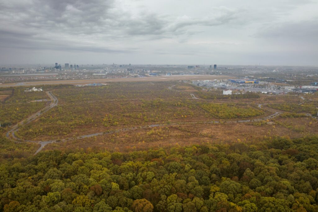 593586981 1168260198856176 2282963859975786484 n