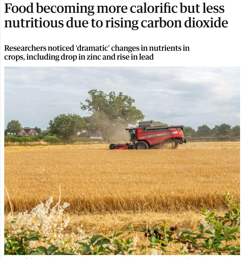 Matthew Ashmore Alamy via The Guardian