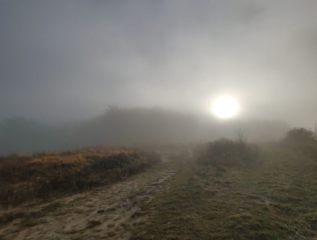 WhatsApp Image 2025 12 09 at 15.59.29