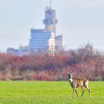 WhatsApp Image 2025 12 18 at 19.52.53