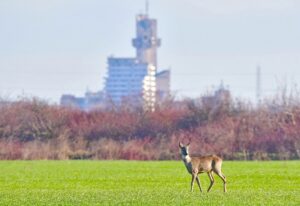 WhatsApp Image 2025 12 18 at 19.52.53