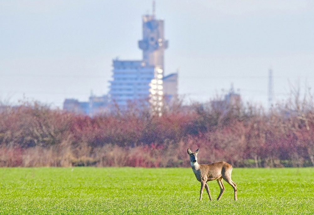 WhatsApp Image 2025 12 18 at 19.52.53