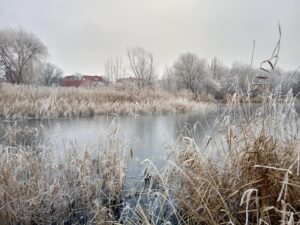 615326306 887902013783031 2919676202101855870 n