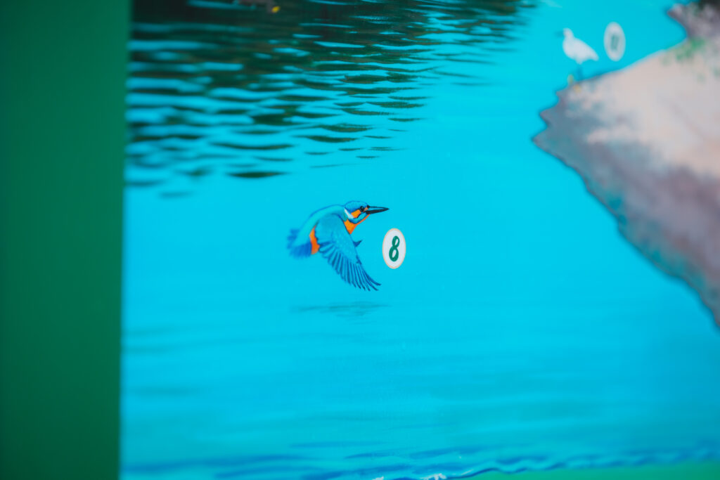 Sătmărenii care traversează Podul Prieteniei pot afla informații despre natura urbană a orașului 5 KZS 5713