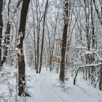 WhatsApp Image 2026 01 21 at 12.04.06