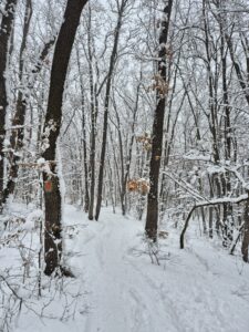 WhatsApp Image 2026 01 21 at 12.04.06