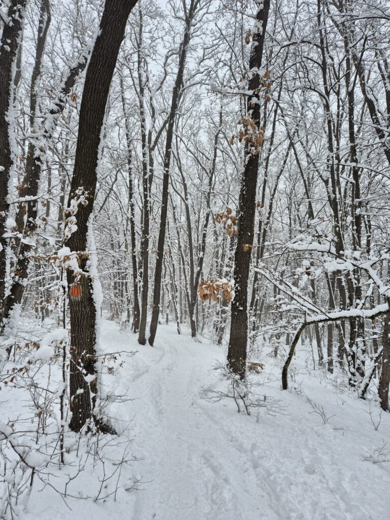 WhatsApp Image 2026 01 21 at 12.04.06