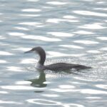 WhatsApp Image 2026 01 27 at 13.40.45