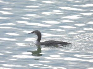 WhatsApp Image 2026 01 27 at 13.40.45