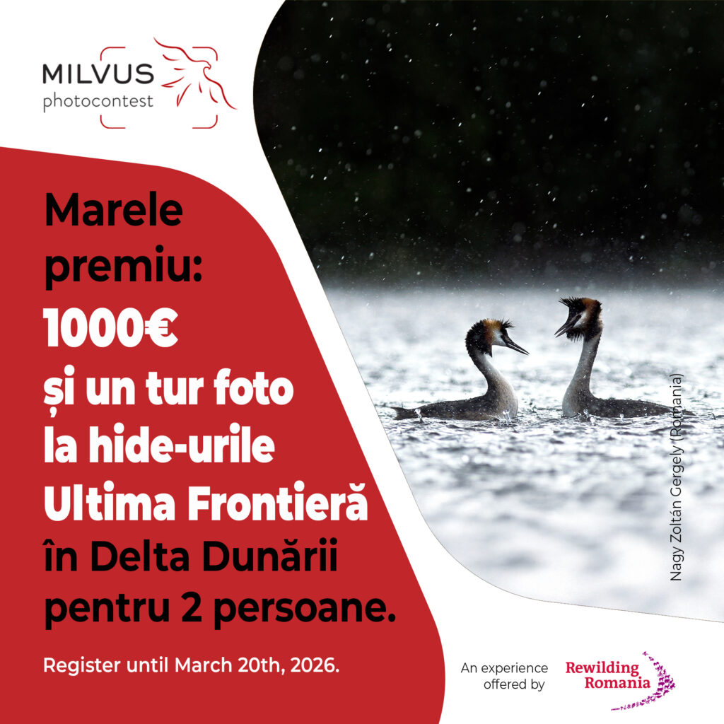 Au început înscrierile la Milvus Photocontest 1 638370041 1220438670205018 1599664314532939960 n