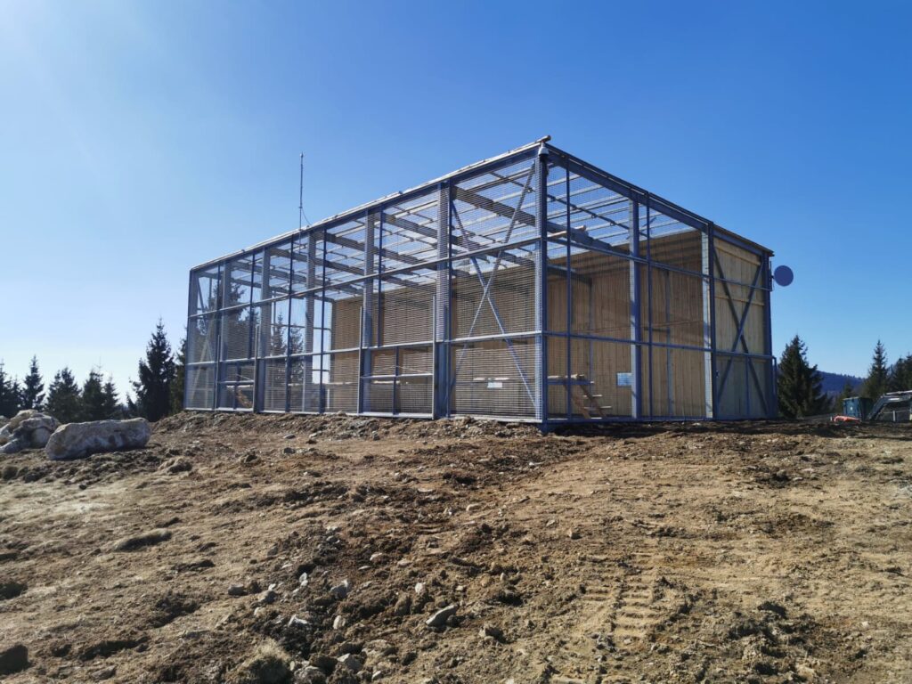 Vulturii suri revin în Munții Făgăraș 3 645db3d3 31d4 4c18 9bcb a7b4926cfc37