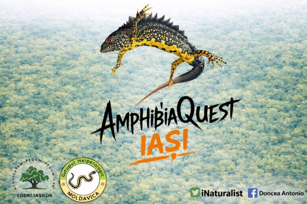 672681338 1478334303785354 1512076760113795106 n