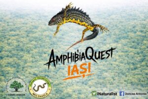 672681338 1478334303785354 1512076760113795106 n