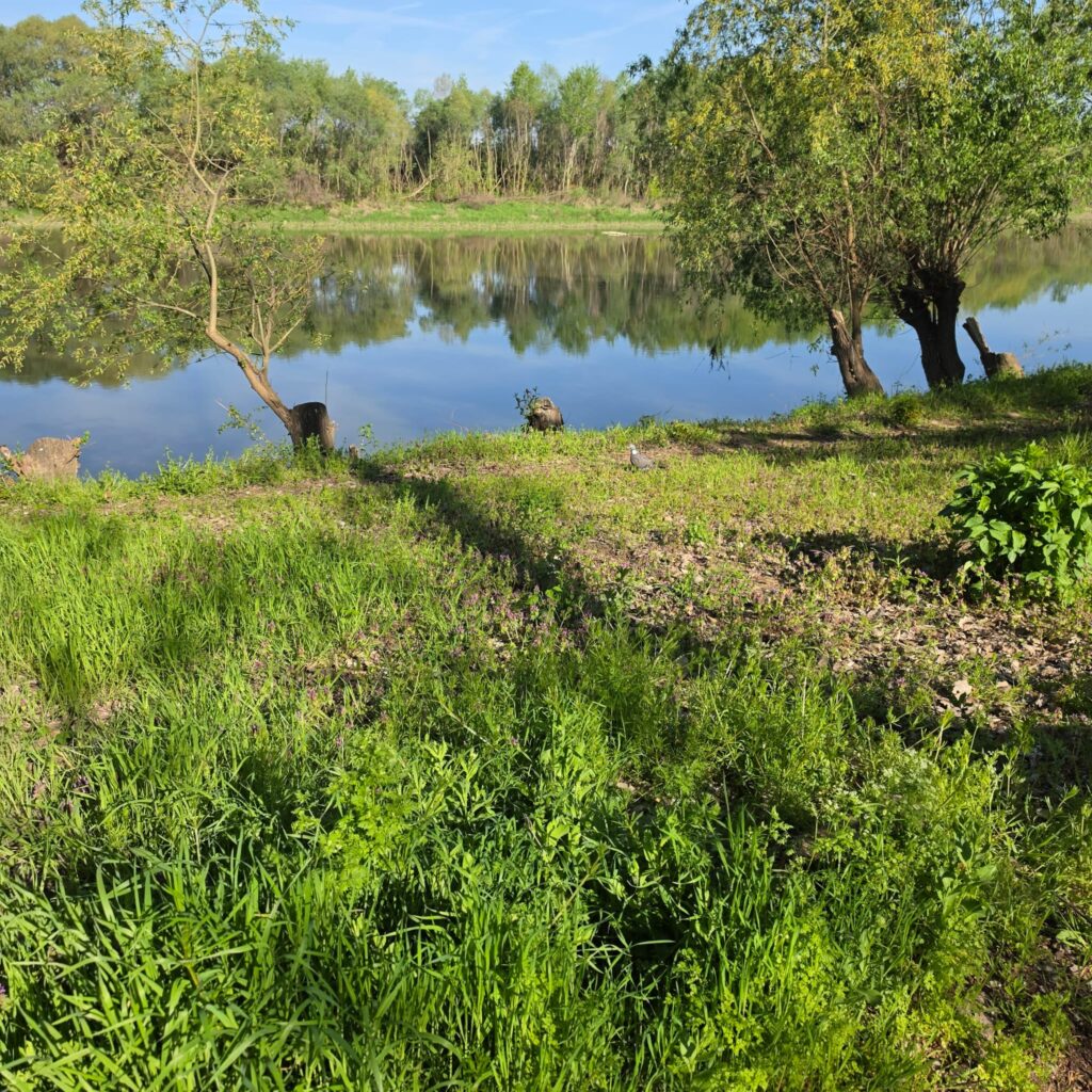 WhatsApp Image 2026 04 22 at 11.43.08