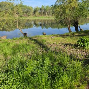 WhatsApp Image 2026 04 22 at 11.43.08