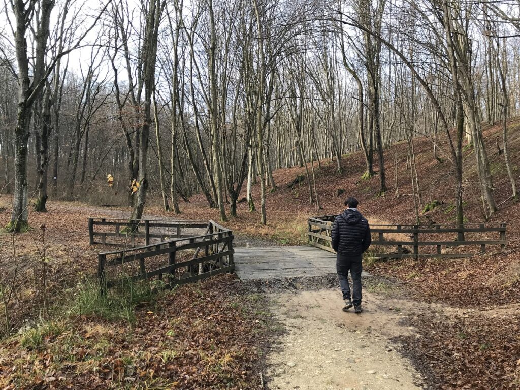 Rețeaua pentru Natură Urbană se extinde în 4 noi orașe: Constanța, Sibiu, Suceava și Târgu Mureș 3 FOTO 2 Padurea Sopa