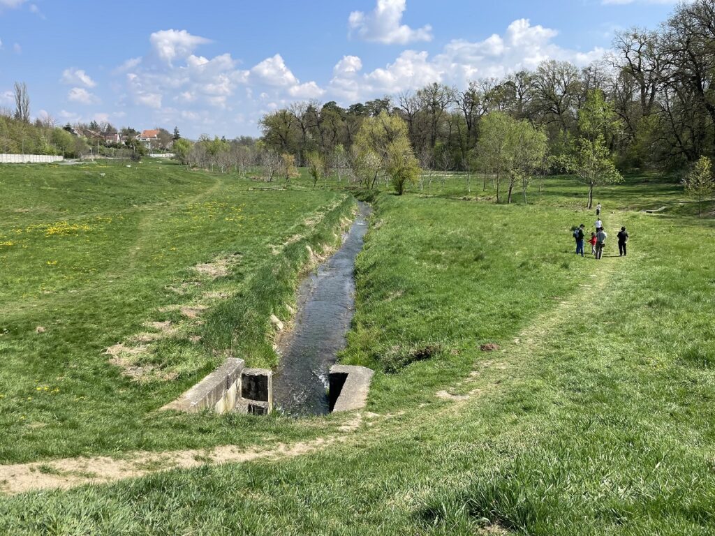 Rețeaua pentru Natură Urbană se extinde în 4 noi orașe: Constanța, Sibiu, Suceava și Târgu Mureș 7 FOTO 6 Paraul Trinkbach
