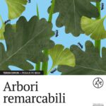Arborii remarcabili ai Timișoarei 2 333 1