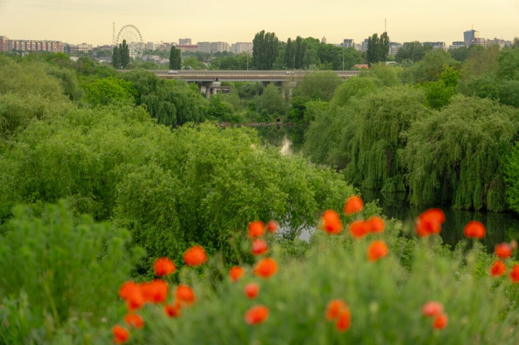Valea Saulei a devenit a treia arie naturală protejată a Bucureștiului 1 WhatsApp Image 2026 10 27 at 15.38.44