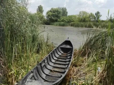 Natura Urbana - Peisaj pe marjinea lacului într-un stufăriș este o barcă