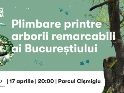 Plimbare printre arborii remarcabili ai Bucureștiului