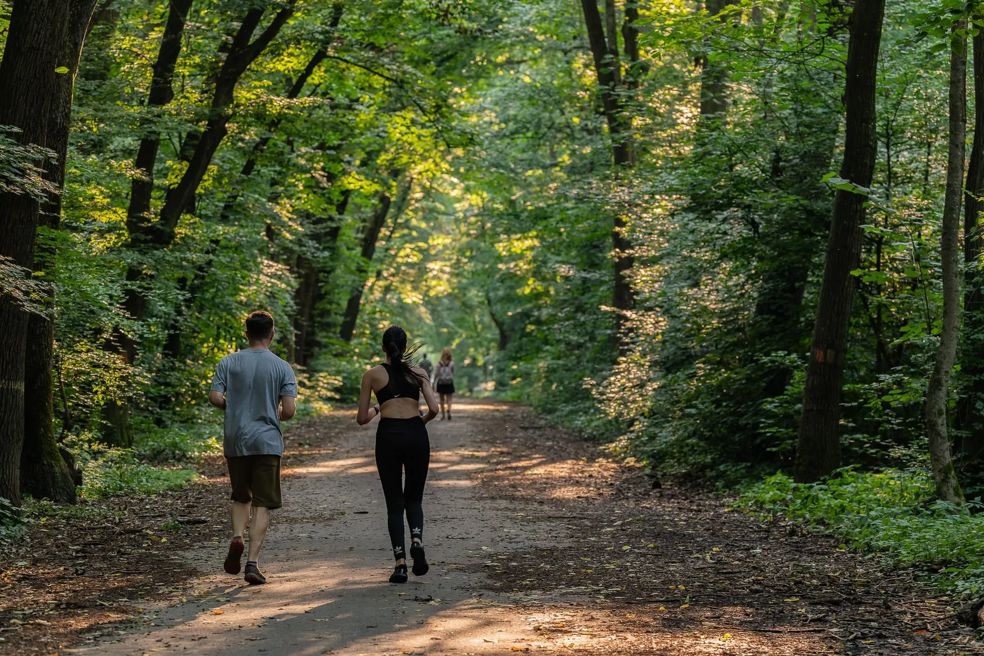Pădurea Băneasa - Un loc minuntar de promenadă și alergat